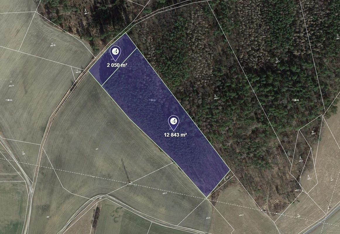 Prodej lesa 3 723 m²