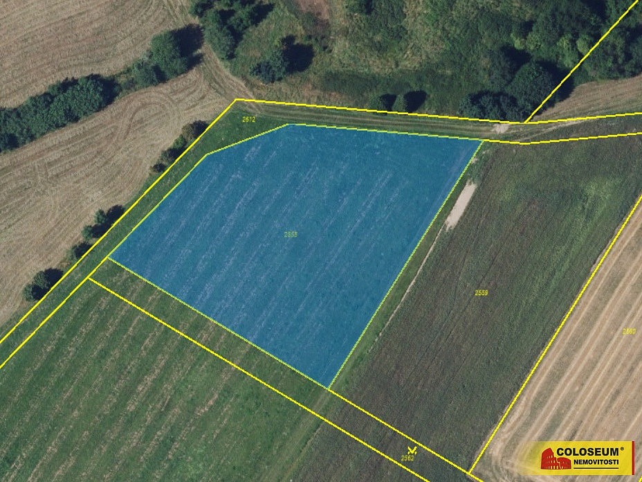 Prodej pole 54 259 m² – fotografie 5