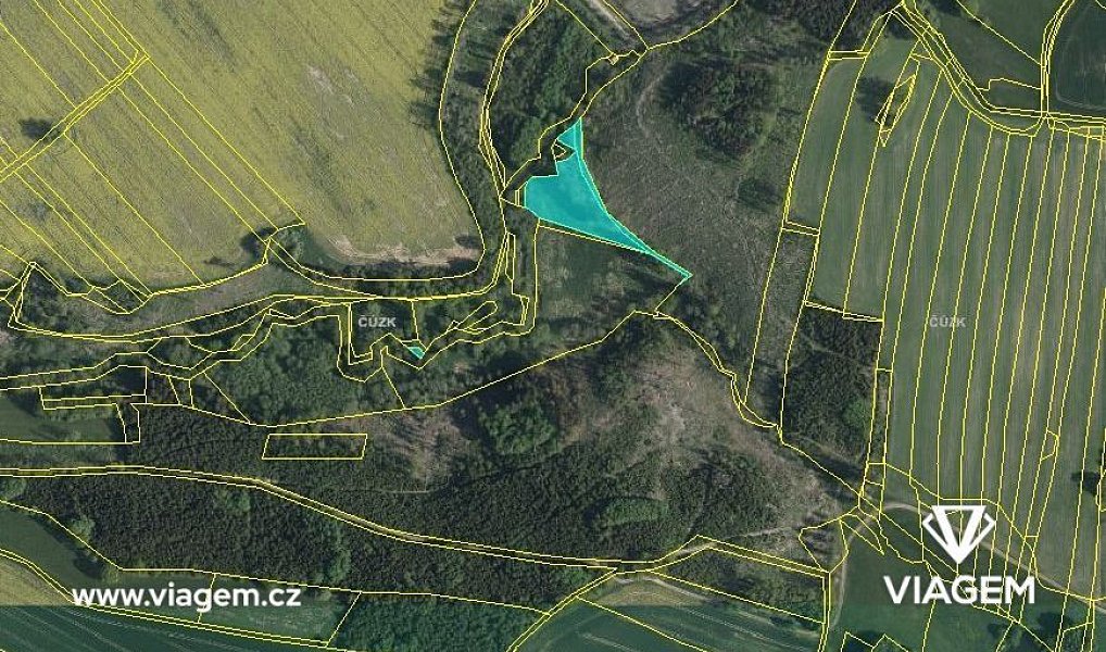Prodej lesa 1 457 m², Žirovnice – náhled fotky 3
