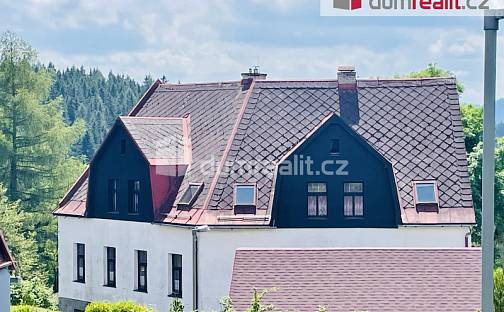 Prodej domu 600 m² s pozemkem 507 m², Pražská, Abertamy, okres Karlovy Vary