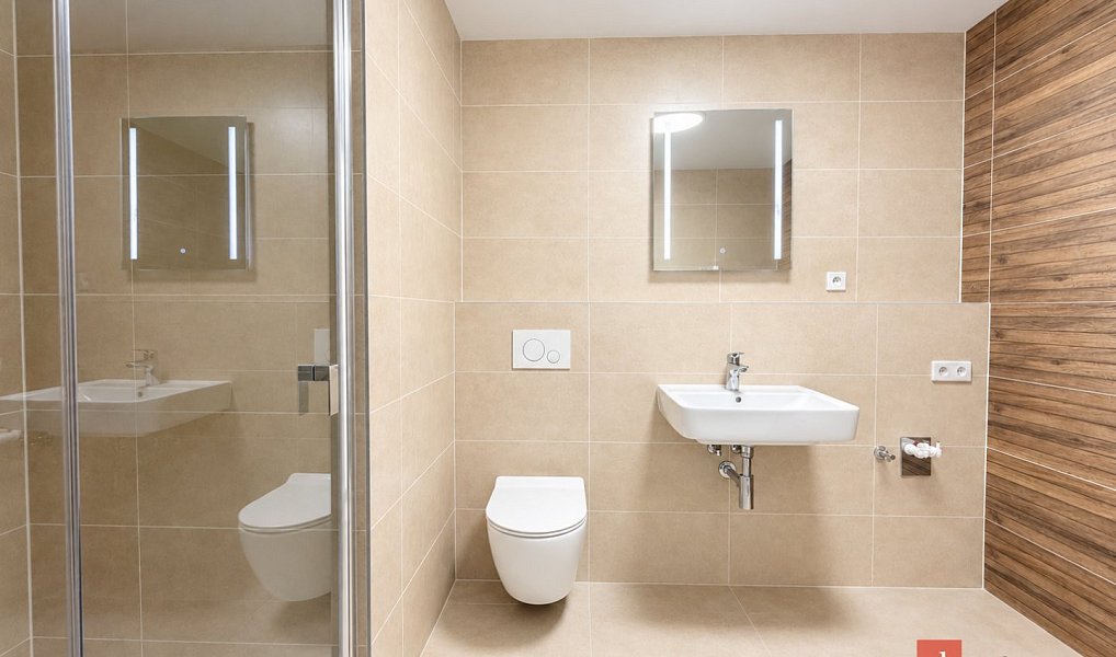 Pronájem bytu 1+kk 33 m², Plzeň – náhled fotky 5