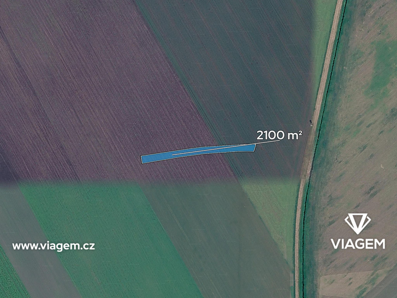 Prodej pole 350 m² – fotografie 2