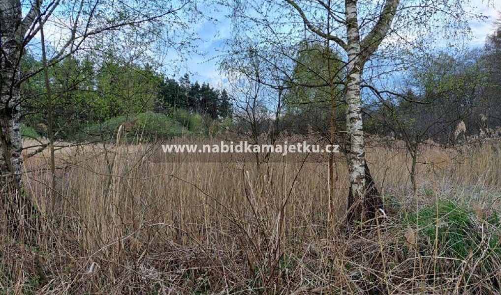 Prodej vodní plochy 8 478 m², Jindřichův Hradec – náhled fotky 2