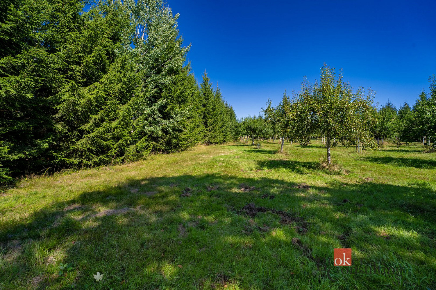 Prodej stavebního pozemku 12 049 m² – fotografie 2