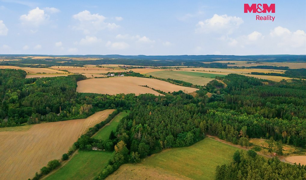 Prodej lesa 3 520 m², Břežany – náhled fotky 6
