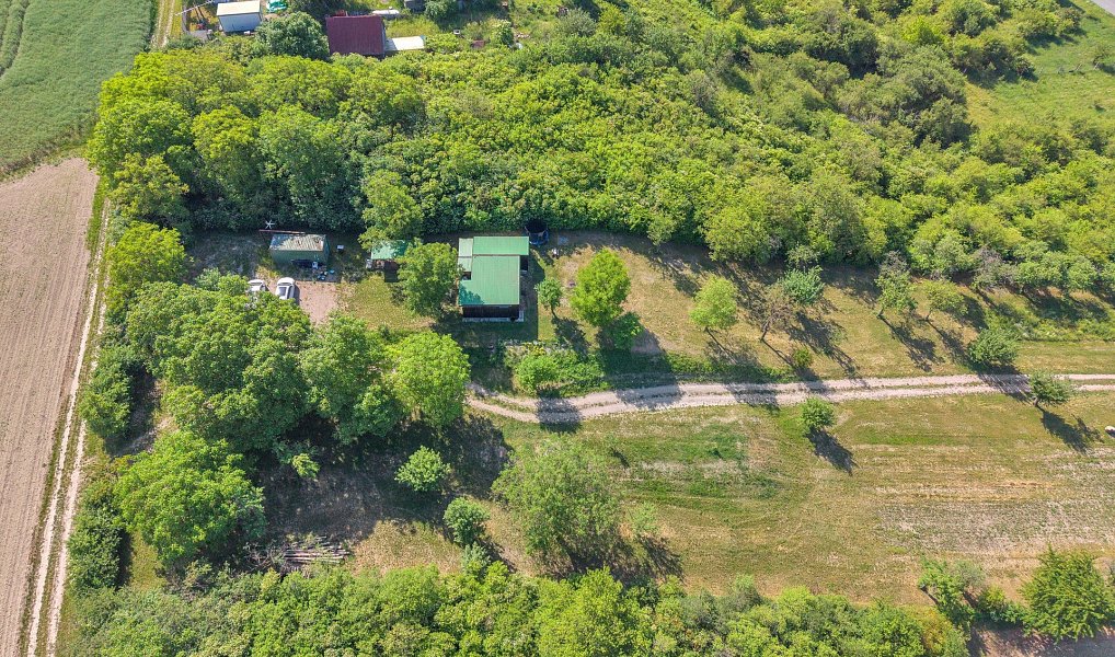 Prodej zahrady 8 945 m², Olešnice – náhled fotky 11