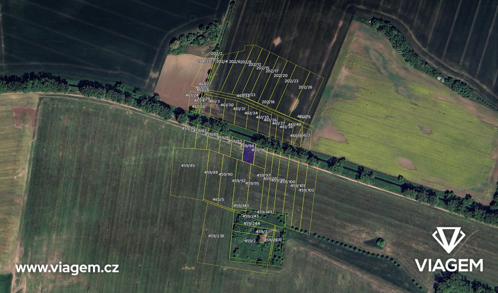 Prodej pole 298 m², Kratonohy – náhled fotky 4