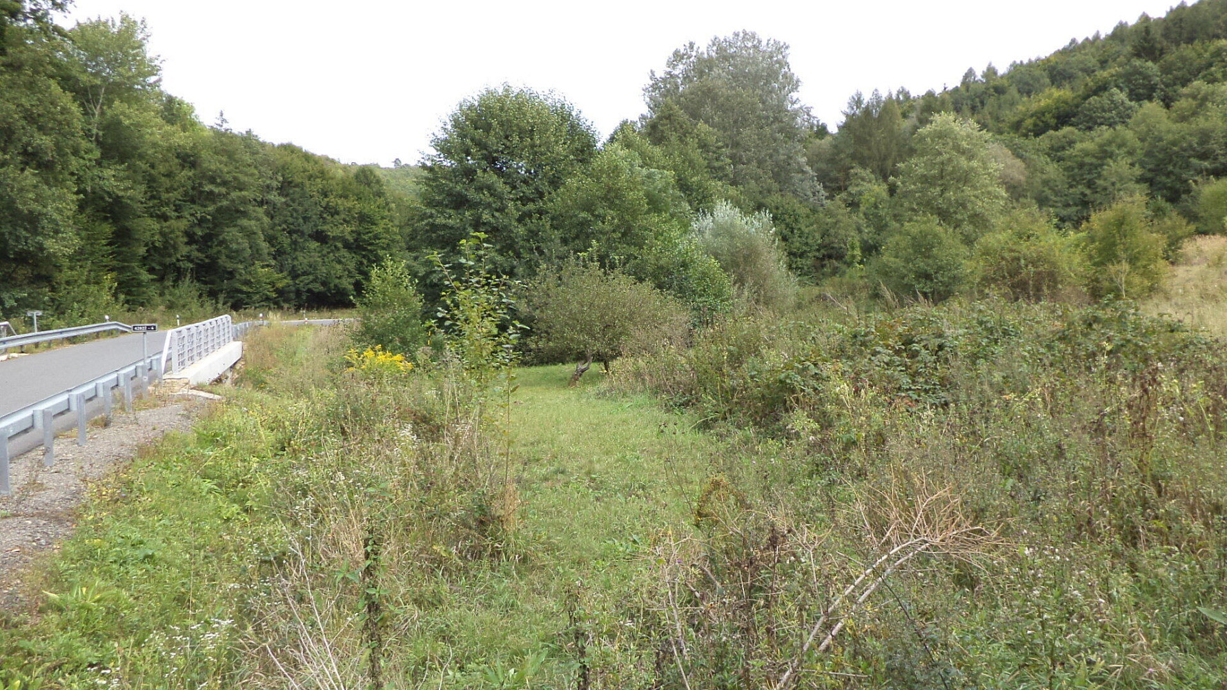 Prodej pole 1 953 m² — photo 4