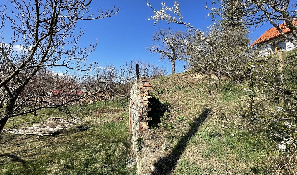 Prodej vinného sklepa s pozemkem (663 m2) ve Valticích-část Úvaly., Valtice – náhled fotky 10