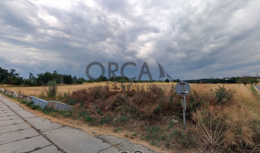 Prodej pole 10 372 m², Svobodné Heřmanice – náhled fotky 4