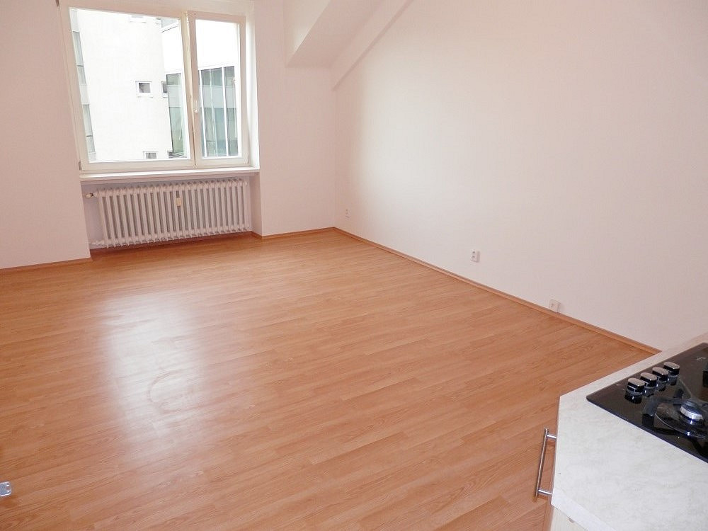 Pronájem bytu 2+kk 43 m² – fotografie 2
