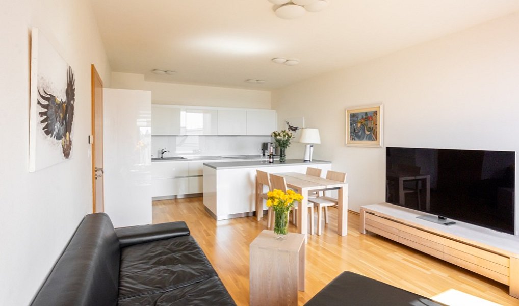 Pronájem bytu 4+kk 96 m², Ostrava – náhled fotky 6