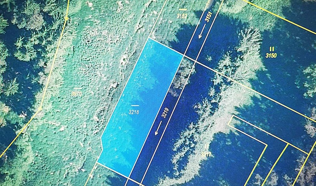 Prodej louky 3 500 m², Jindřichův Hradec – náhled fotky 6