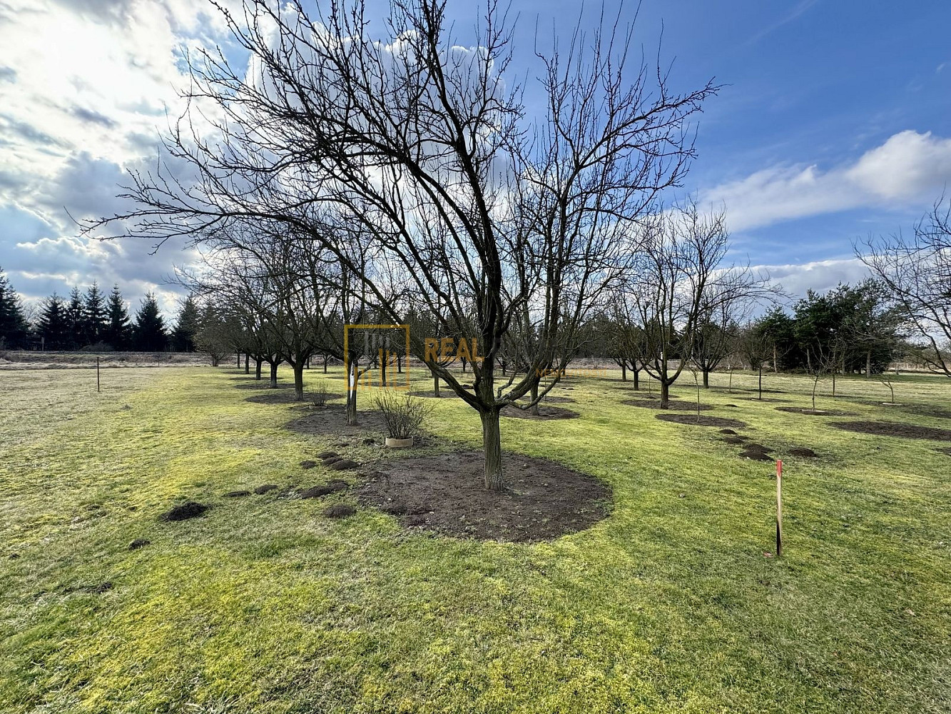 Prodej zahrady 862 m²