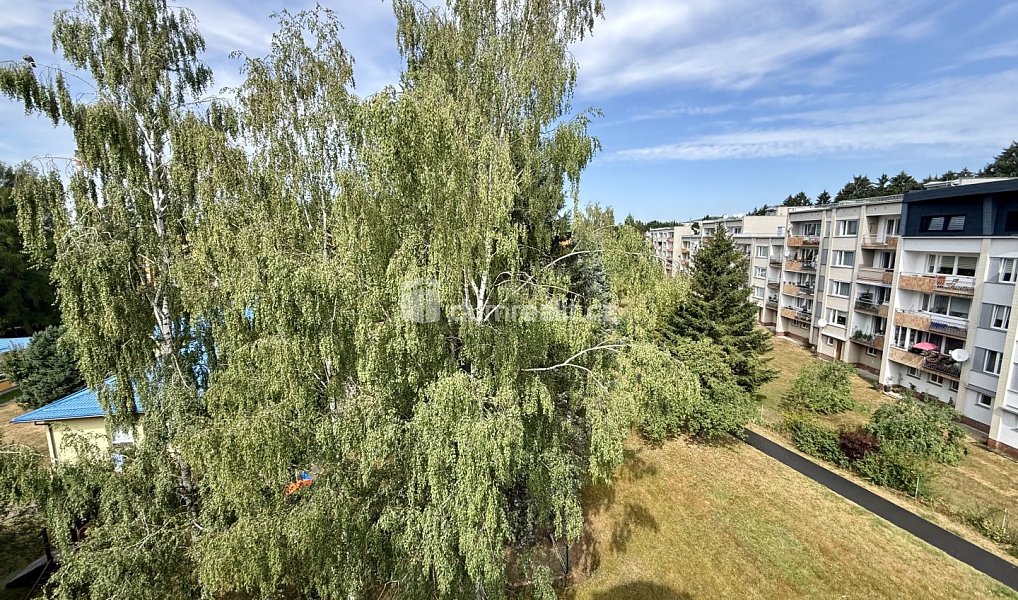 Prodej bytu 3+kk 161 m², Mariánské Lázně – náhled fotky 34