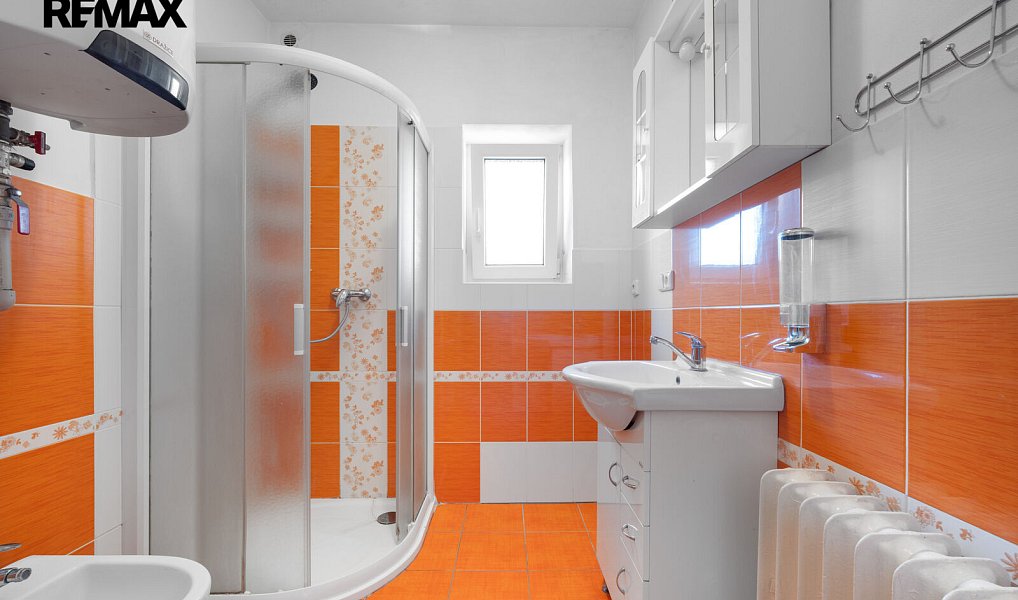 Prodej zemědělského objektu 260 m², Drahonín – náhled fotky 19