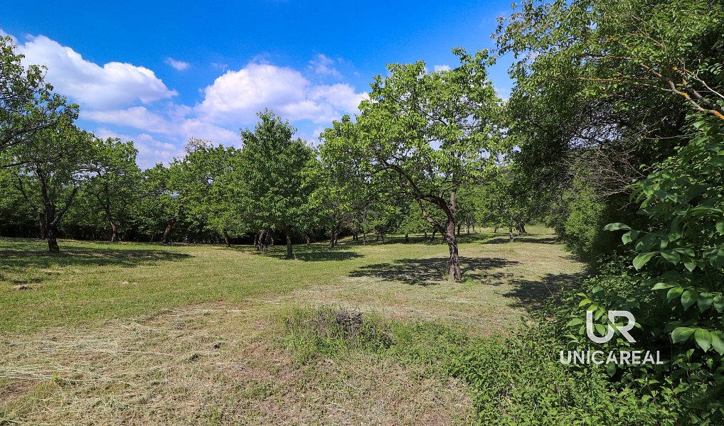 Prodej pole 3 851 m², Židlochovice – náhled fotky 12