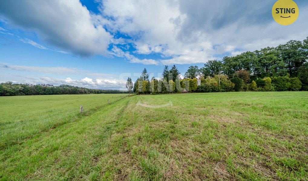 Prodej stavebního pozemku 2 925 m², Ropice – náhled fotky 18