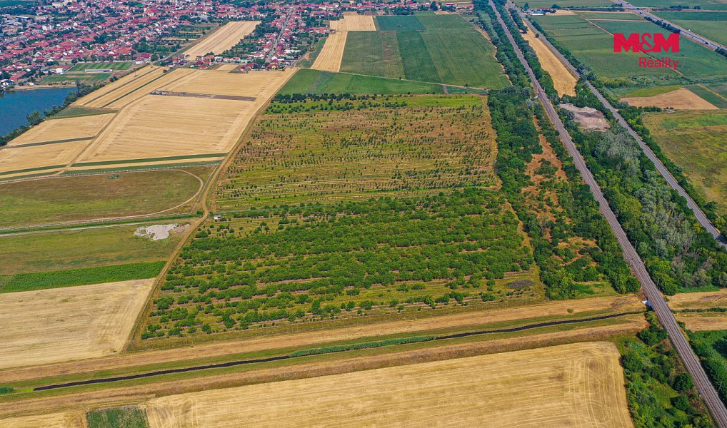 Prodej pole 12 442 m², Rakvice – náhled fotky 7