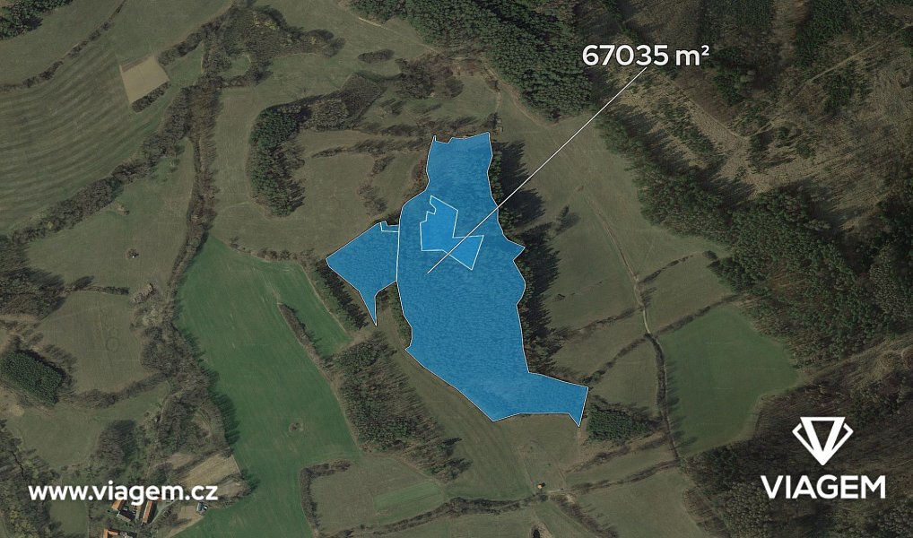 Prodej lesa 33 517 m², Nechvalice – náhled fotky 2