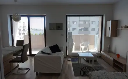 Pronájem bytu 1+kk 45 m², Kigginsova, Brno - Slatina