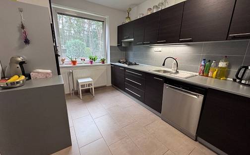 Prodej domu 300 m² s pozemkem 248 m², Sládkova, Jihlava