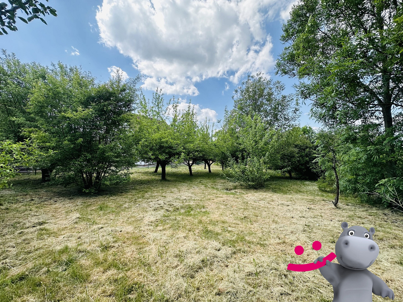 Prodej stavebního pozemku 1 519 m² – fotografie 2