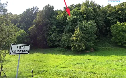 Prodej lesa 1 876 m², Kobylá nad Vidnavkou, okres Jeseník