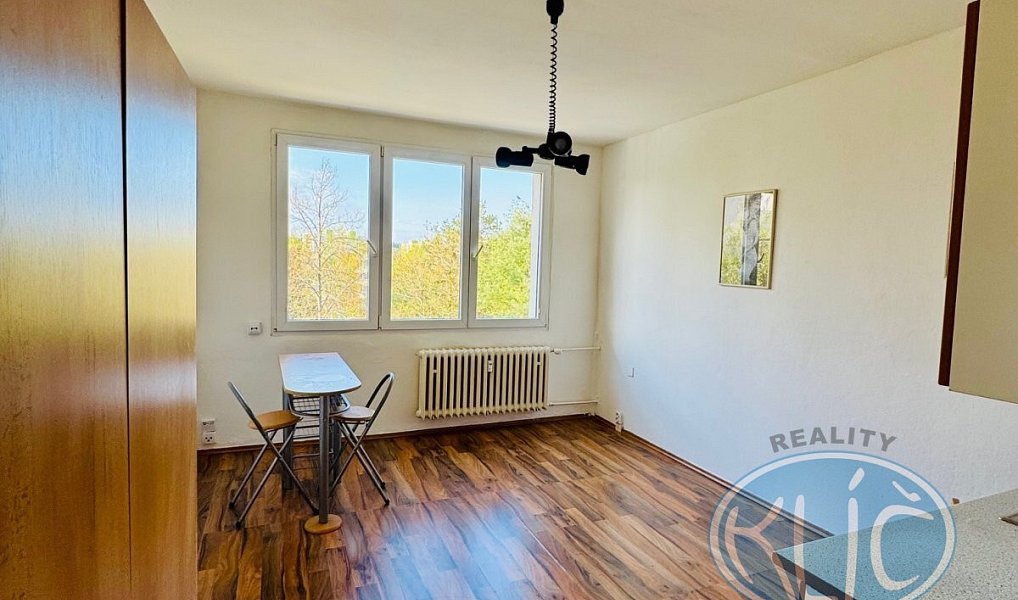 Pronájem bytu 1+kk 21 m², Tábor – náhled fotky 3