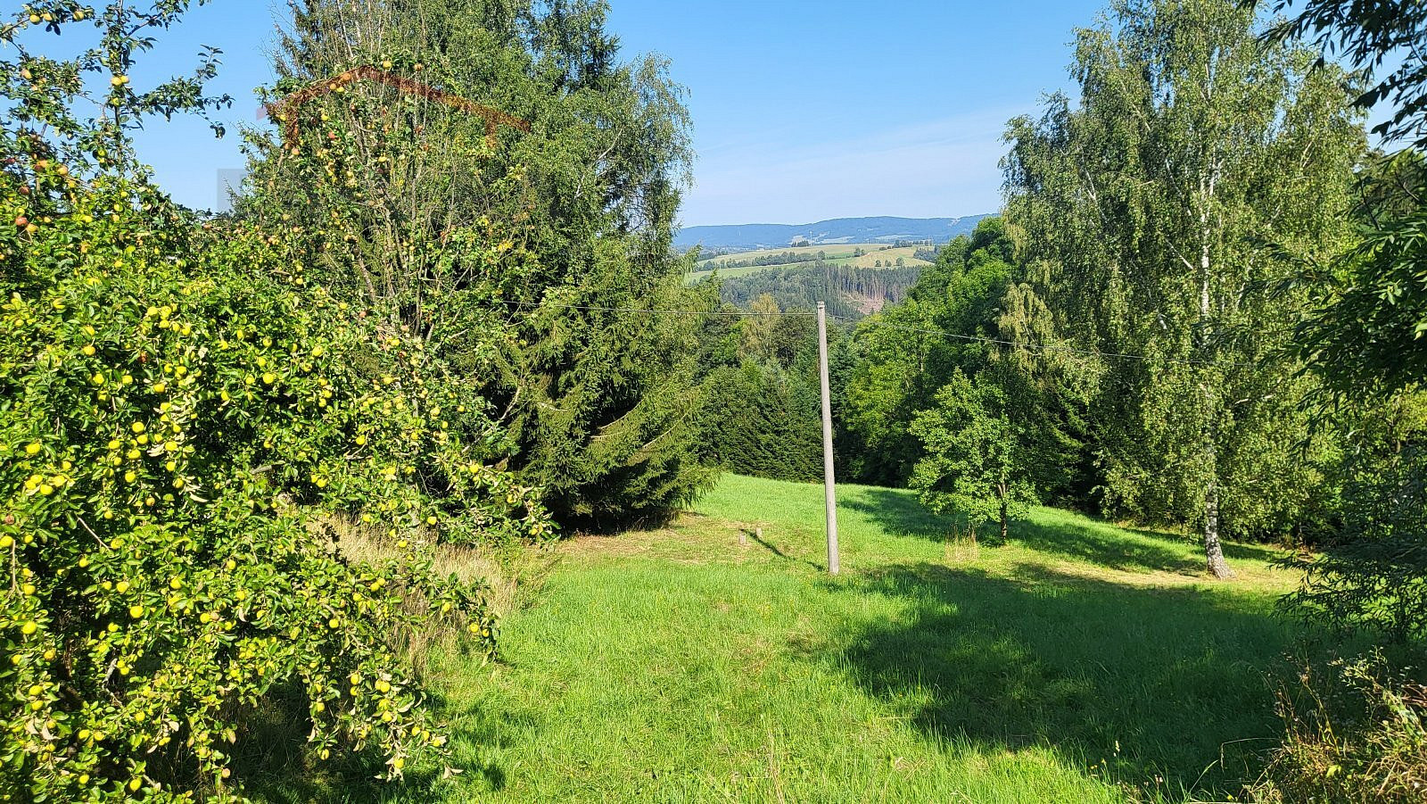 Fotka 9 z 14