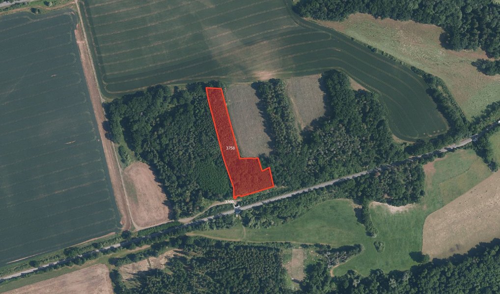 Prodej lesa 23 194 m², Kryry – náhled fotky 2