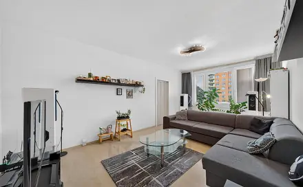 Prodej bytu 3+1 84 m², J. Plachty, České Budějovice - České Budějovice 3