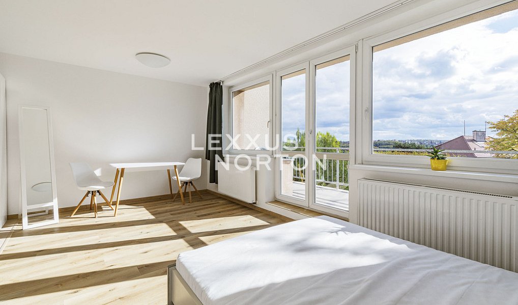 Pronájem bytu 1+kk 35 m², Praha – náhled fotky 6