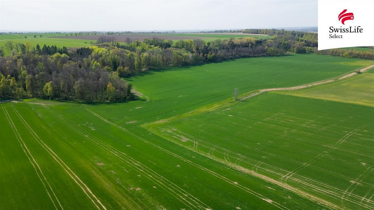 Prodej pole 18 365 m² – pohled 2