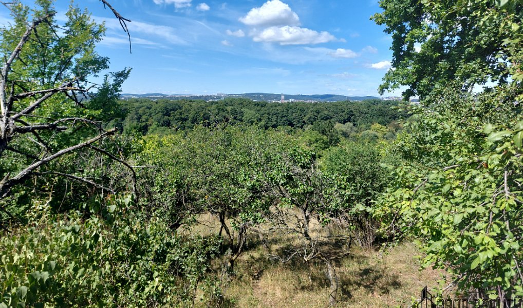 Prodej zahrady 1 578 m², Brno – náhled fotky 4