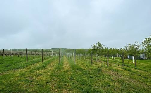 Prodej pozemku 2 471 m², Blatnice pod Svatým Antonínkem, okres Hodonín