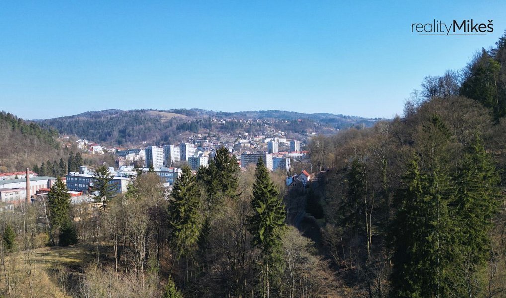 Prodej louky 4 168 m², Železný Brod – náhled fotky 10