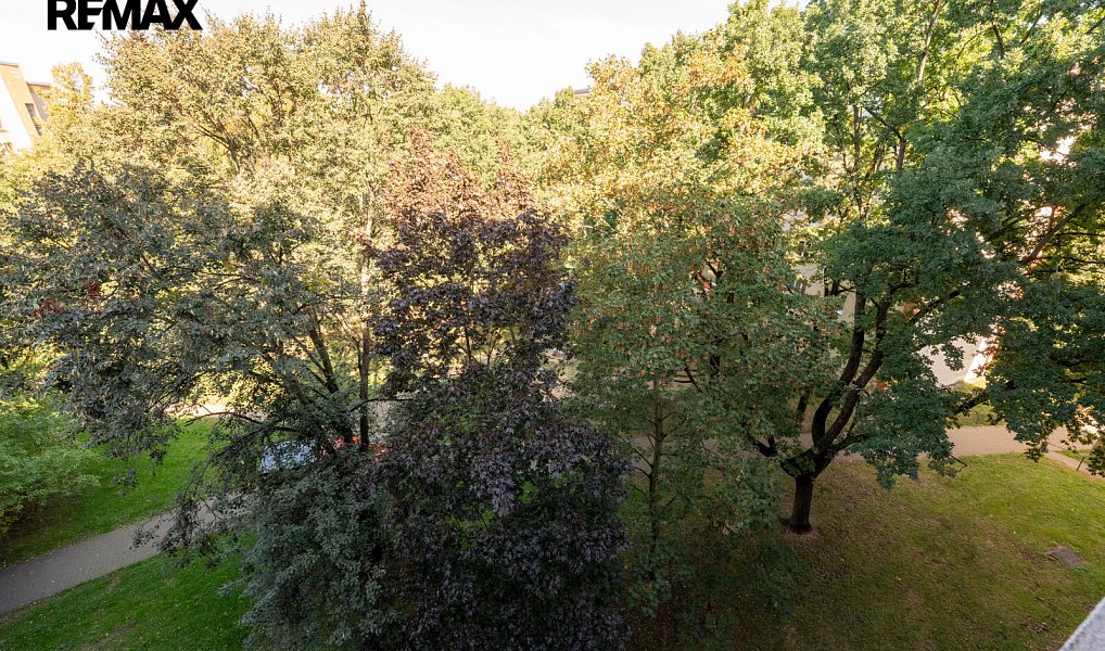 Prodej bytu 2+1 51 m², Praha – náhled fotky 19