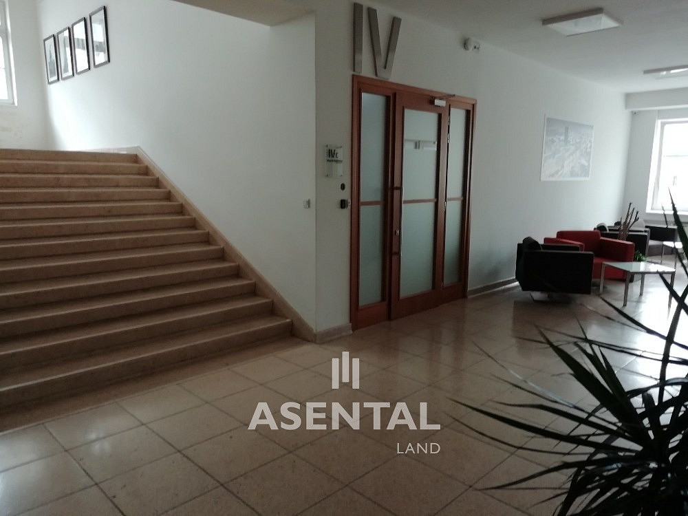 Pronájem kanceláře 240 m² – fotografie 5