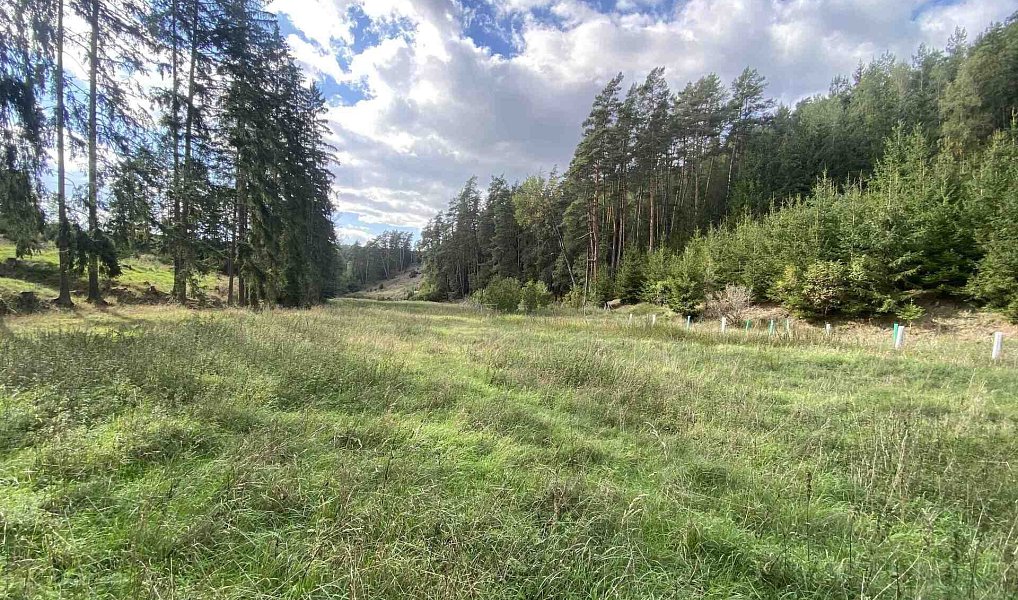 Prodej pole 7 068 m², Krsy – náhled fotky 4