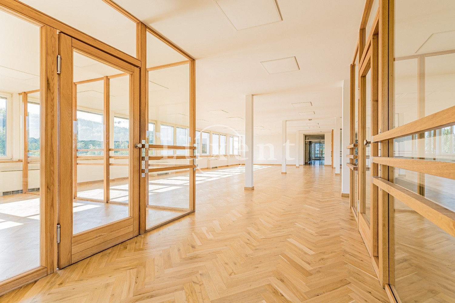 Pronájem kanceláře 257 m² – fotografie 3