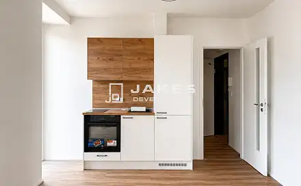 Pronájem bytu 1+kk 35 m²