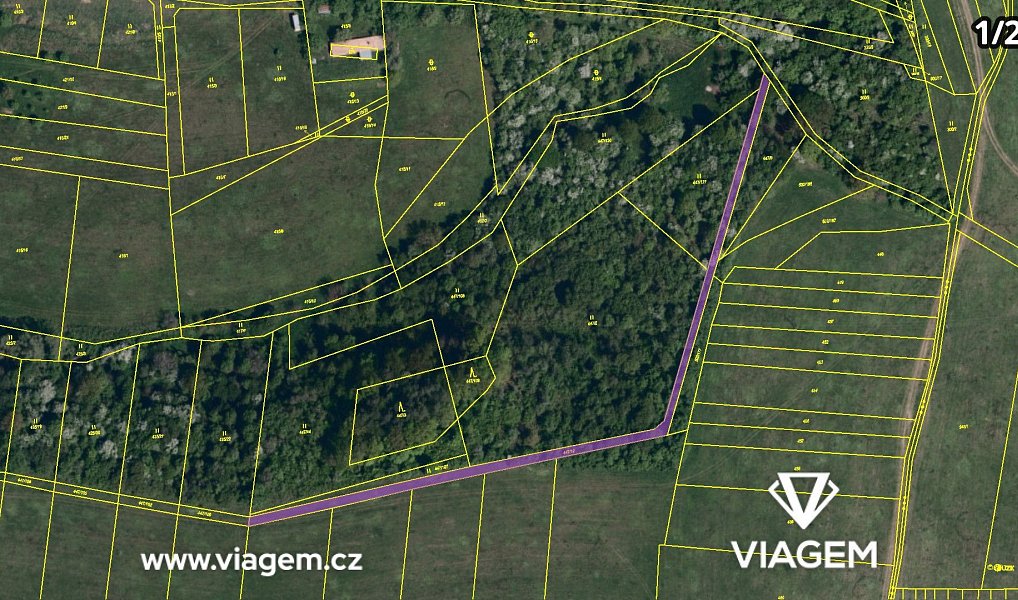 Prodej lesa 4 655 m², Kaňovice – náhled fotky 4
