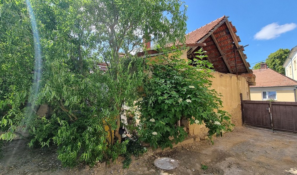 Prodej domu 200 m² s pozemkem 1 325 m², Žďárná – náhled fotky 21