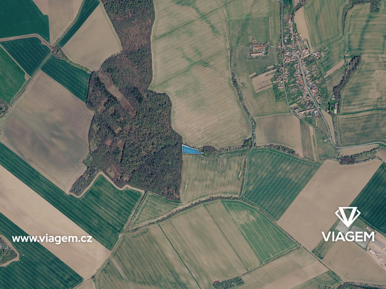 Prodej pole 1 242 m² — photo 3