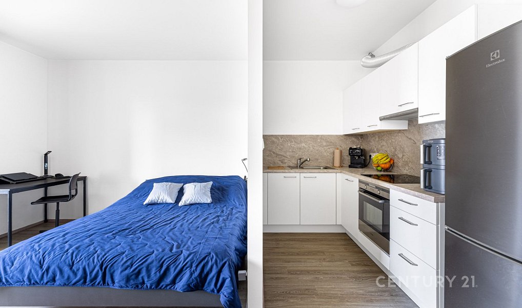 Prodej bytu 1+kk 38 m², Praha – náhled fotky 8