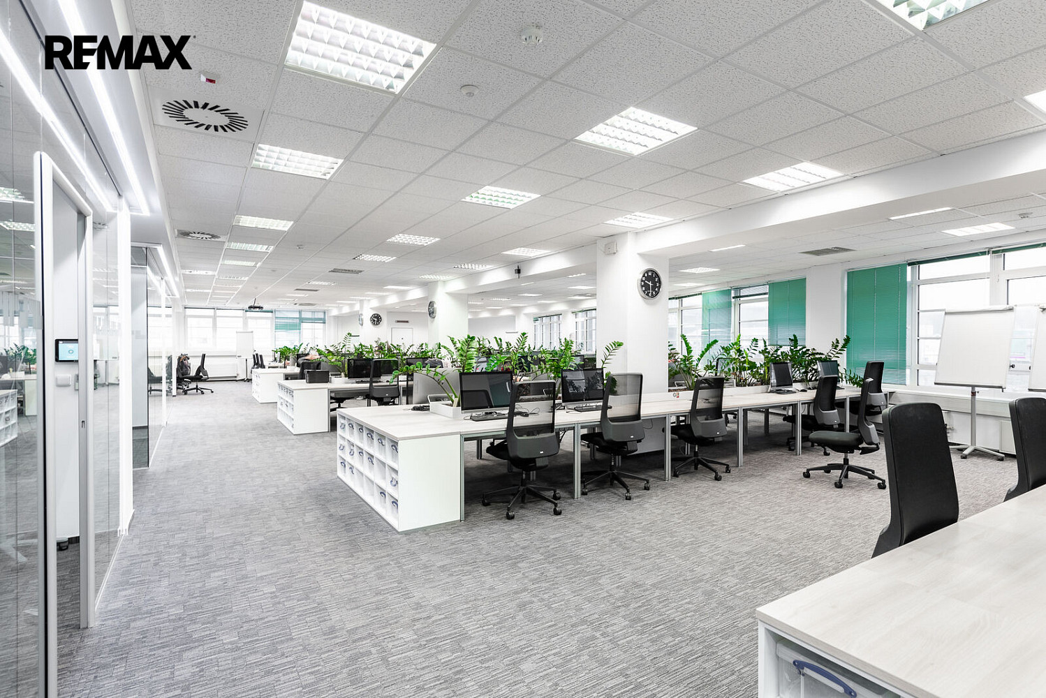 Pronájem kanceláře 2 800 m² – fotografie 5