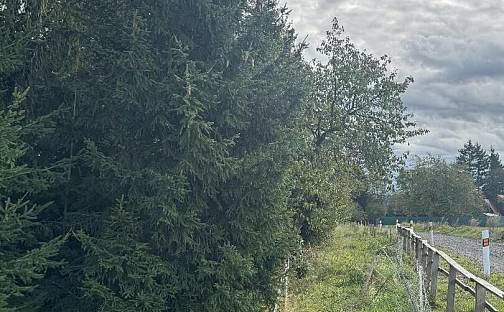 Prodej pozemku 10 821 m², Velké Svatoňovice, okres Trutnov