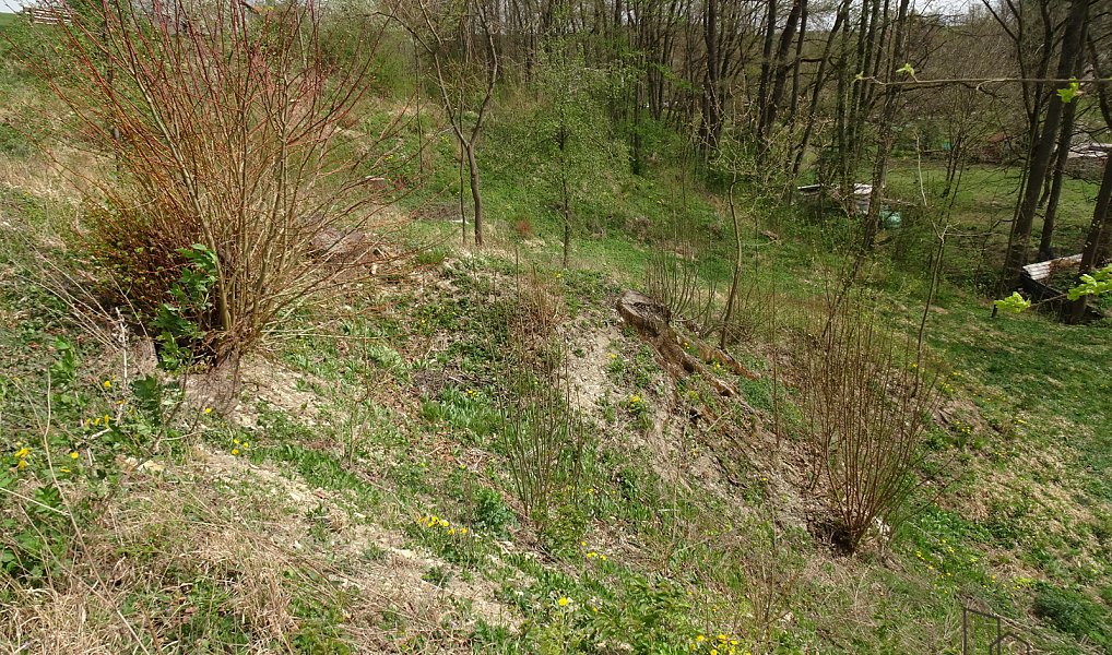Prodej pozemku 5 086 m², Kvasiny – náhled fotky 7