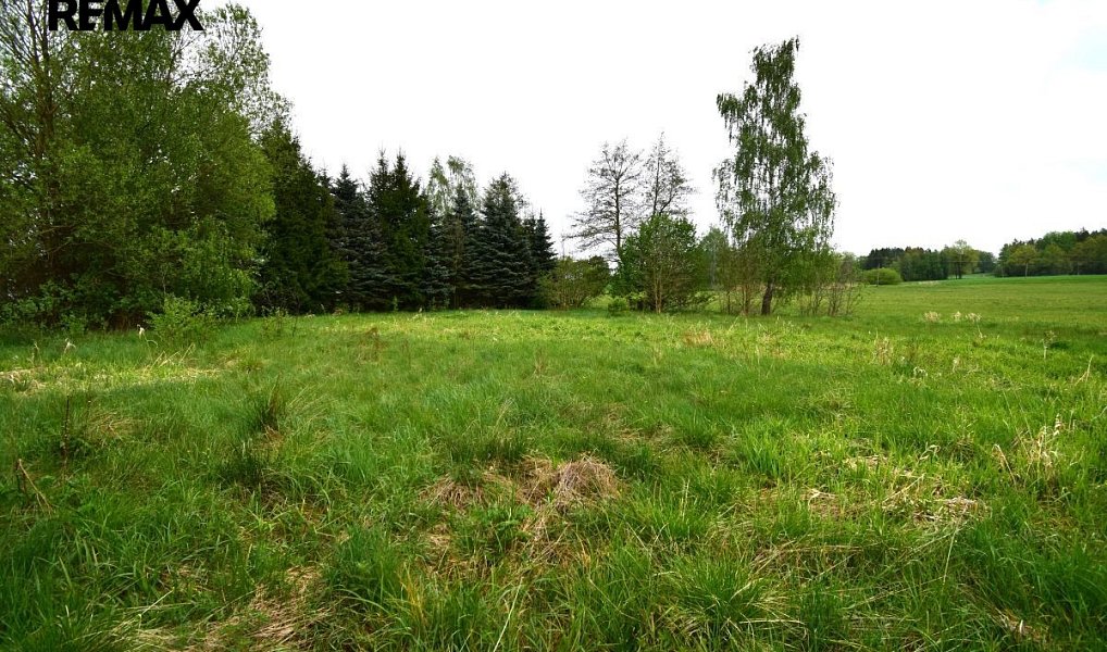 Prodej stavebního pozemku 993 m², Kostelní Radouň – náhled fotky 4
